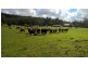 Putty NSW 2330