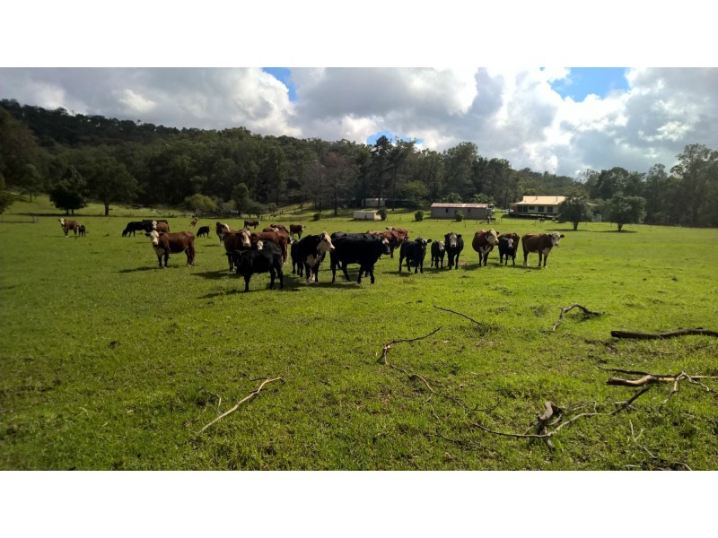 Putty NSW 2330