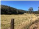Putty NSW 2330