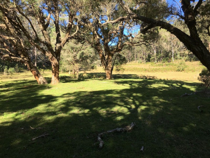 Putty NSW 2330