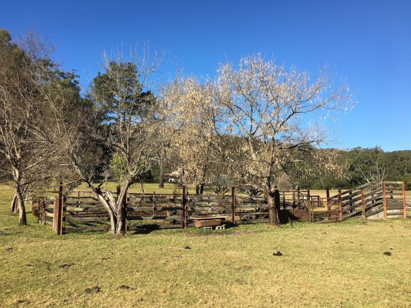 Putty NSW 2330