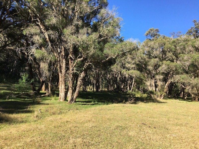 Putty NSW 2330