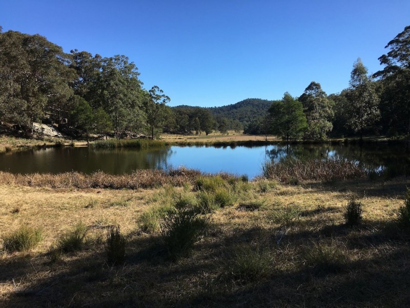 Putty NSW 2330