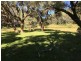 Putty NSW 2330