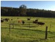 Putty NSW 2330