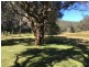 Putty NSW 2330