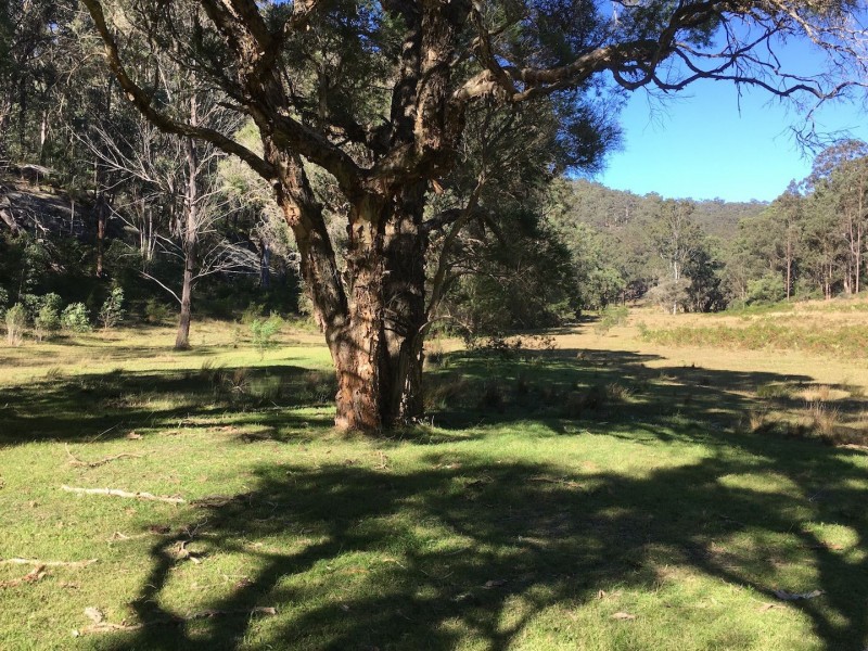 Putty NSW 2330