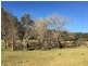 Putty NSW 2330