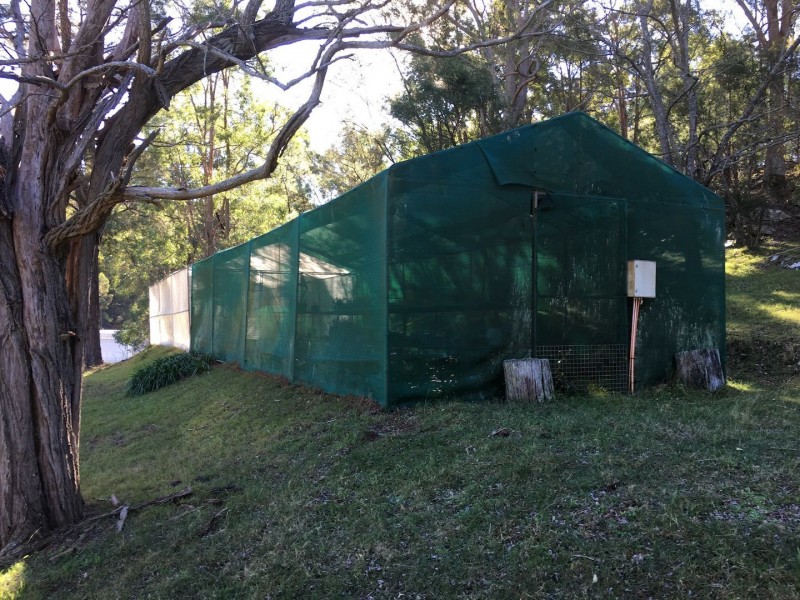 Putty NSW 2330