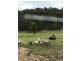 8357 Lot 22 Putty Road, Putty NSW 2330