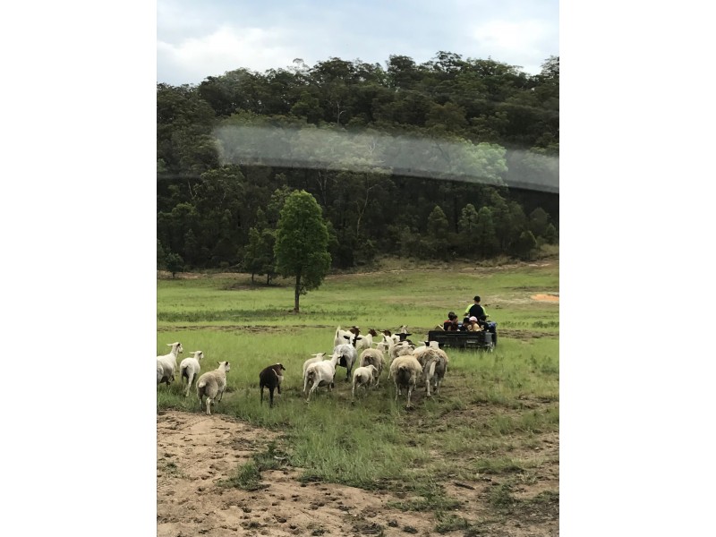 8357 Lot 22 Putty Road, Putty NSW 2330