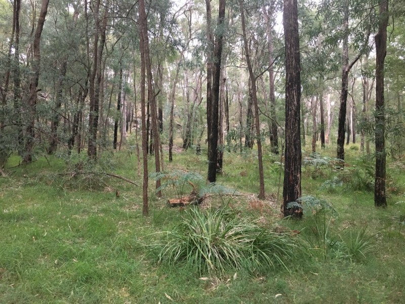 89 ROBERTS CREEK ROAD, East Kurrajong NSW 2758