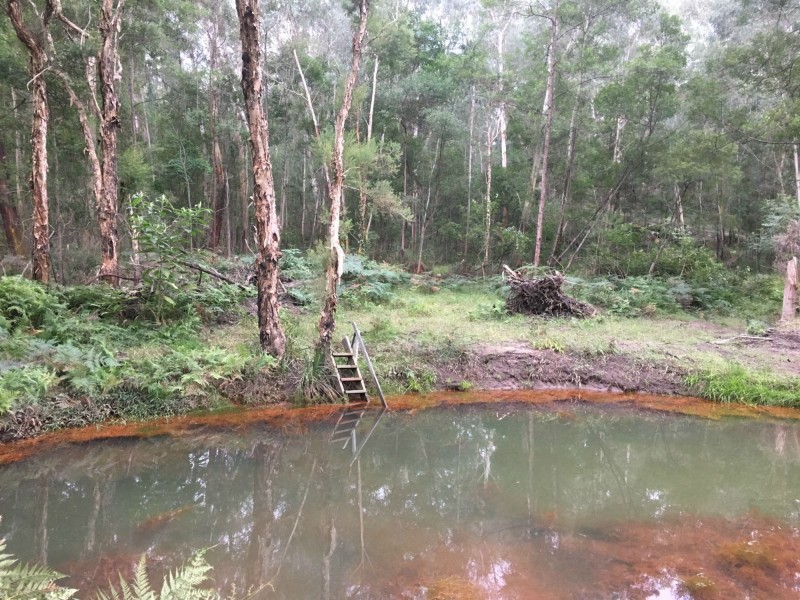 89 ROBERTS CREEK ROAD, East Kurrajong NSW 2758