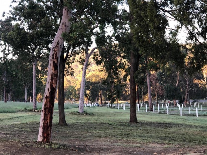 8209 Putty Road, Putty NSW 2330