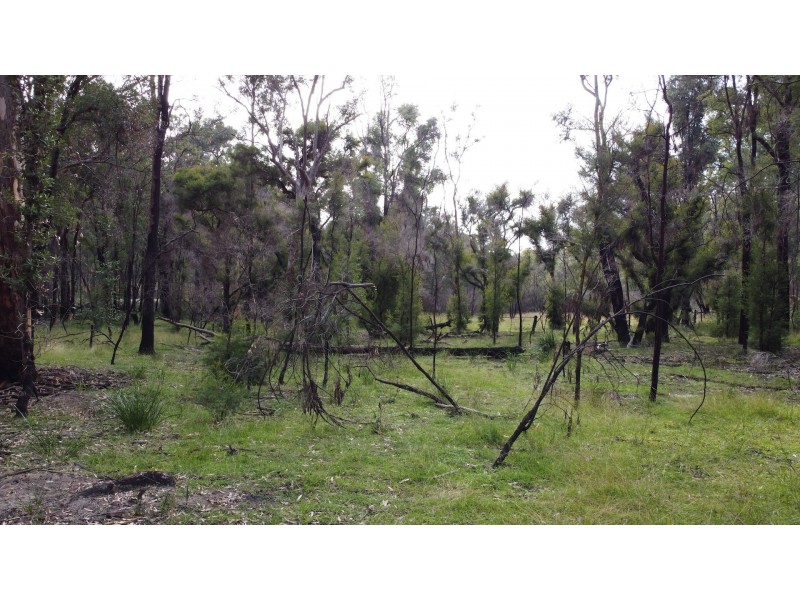 Lot 3 Putty Road, Putty NSW 2330