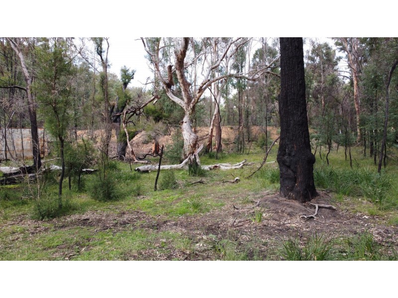 Lot 3 Putty Road, Putty NSW 2330