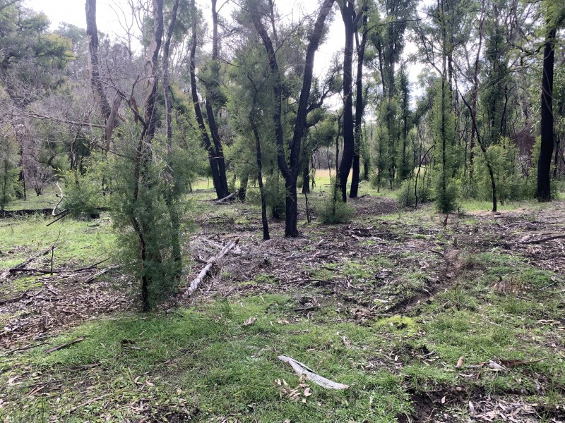 Lot 3 Putty Road, Putty NSW 2330