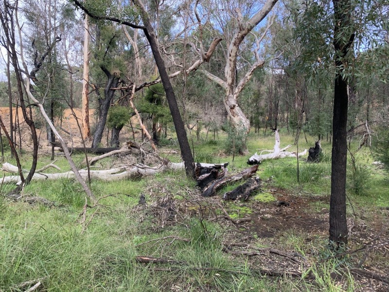 Lot 3 Putty Road, Putty NSW 2330