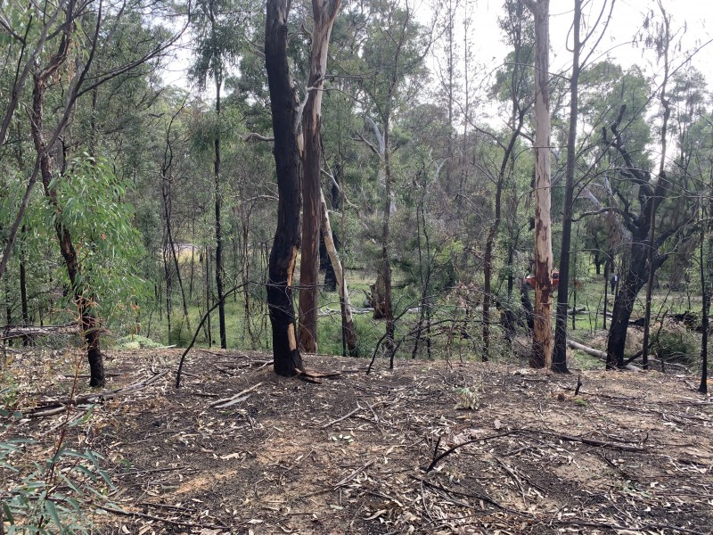 Lot 3 Putty Road, Putty NSW 2330