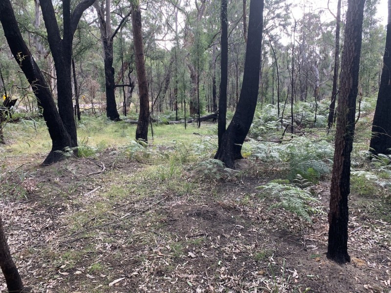 Lot 3 Putty Road, Putty NSW 2330