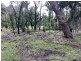 Lot 3 Putty Road, Putty NSW 2330