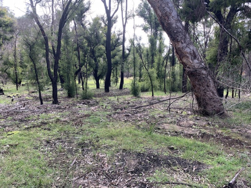 Lot 3 Putty Road, Putty NSW 2330