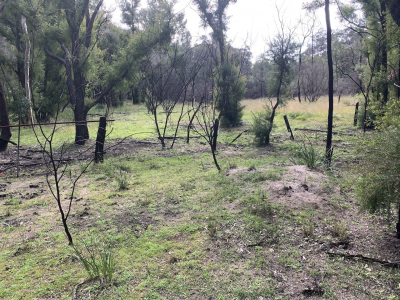 Lot 3 Putty Road, Putty NSW 2330