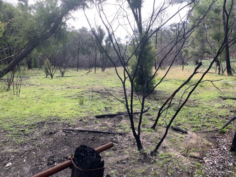 Lot 3 Putty Road, Putty NSW 2330