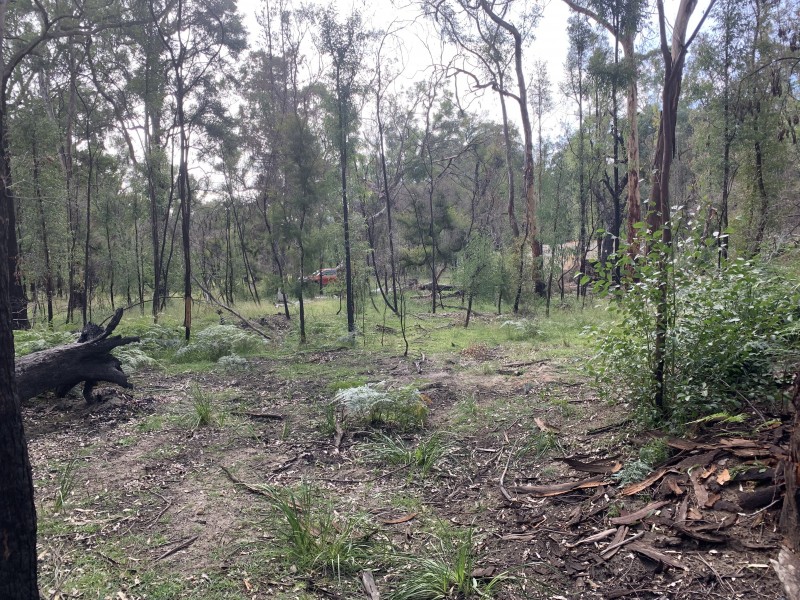 Lot 3 Putty Road, Putty NSW 2330