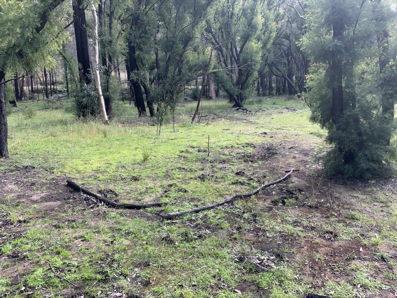 Lot 3 Putty Road, Putty NSW 2330