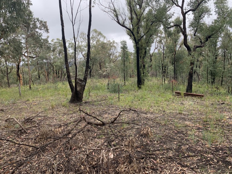 Lot 4 Putty Road, Putty NSW 2330