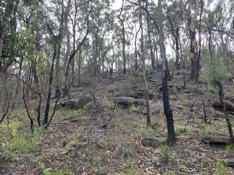 Lot 4 Putty Road, Putty NSW 2330