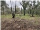 Lot 4 Putty Road, Putty NSW 2330