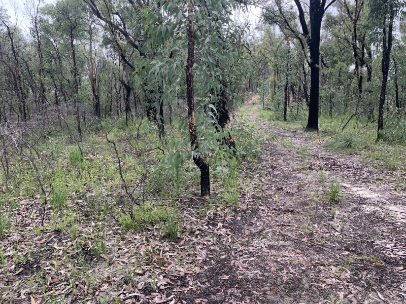 Lot 4 Putty Road, Putty NSW 2330