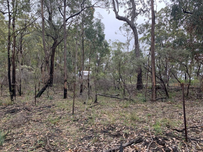 Lot 4 Putty Road, Putty NSW 2330