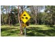 471A Greggs Rd, Kurrajong NSW 2758