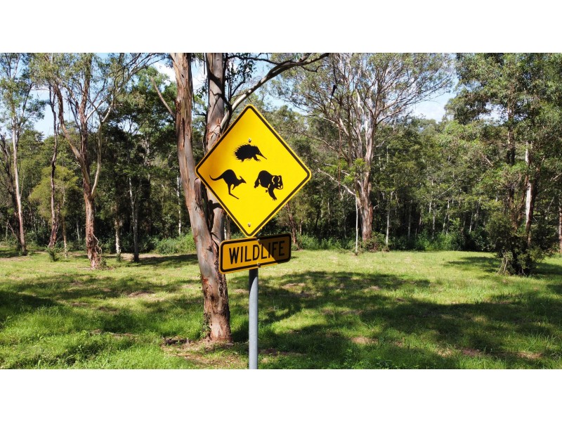 471A Greggs Rd, Kurrajong NSW 2758
