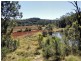 241 Box Gap Rd, Putty NSW 2330
