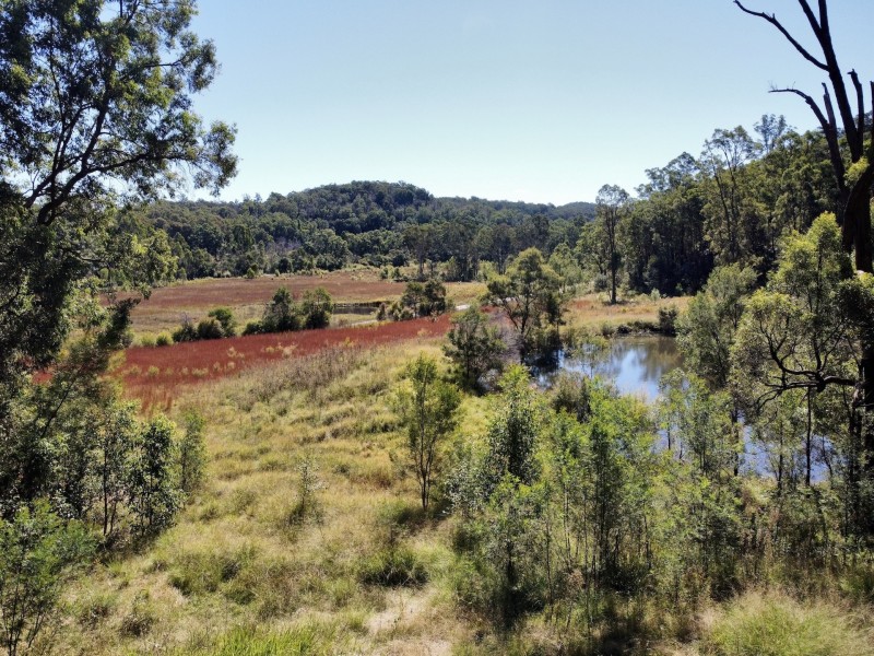 241 Box Gap Rd, Putty NSW 2330