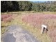 241 Box Gap Rd, Putty NSW 2330