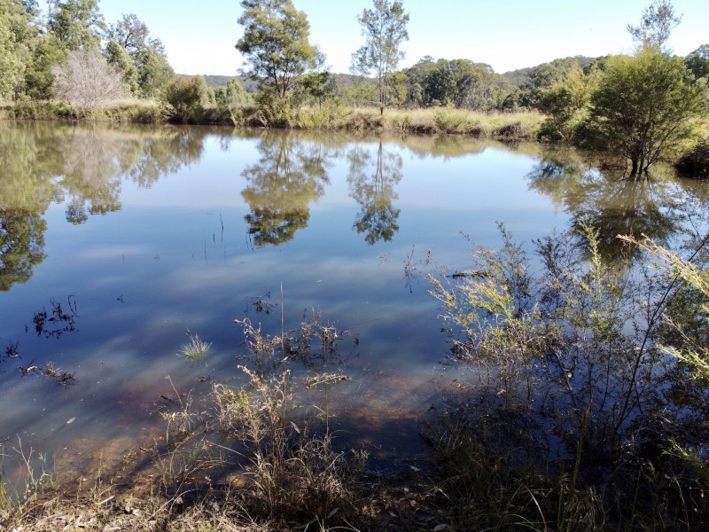 241 Box Gap Rd, Putty NSW 2330