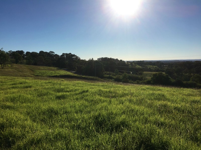 50 Cabbage Tree Road, Grose Vale NSW 2753