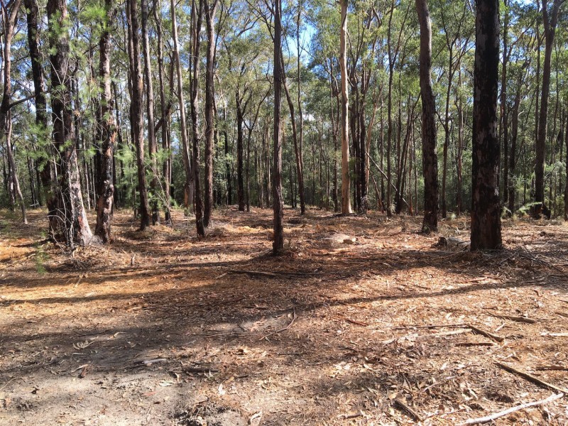 1006A Comleroy Road, Kurrajong NSW 2758