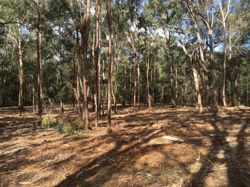 1006A Comleroy Road, Kurrajong NSW 2758