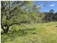 7601 Putty Rd, Putty NSW 2330