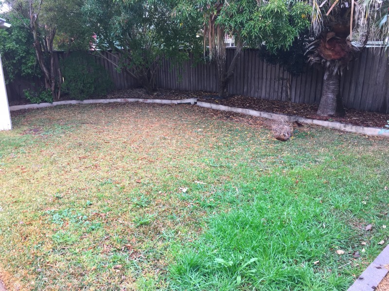 105 Colonial Dr, Bligh Park NSW 2756