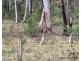 6333 Putty Road, Putty NSW 2330