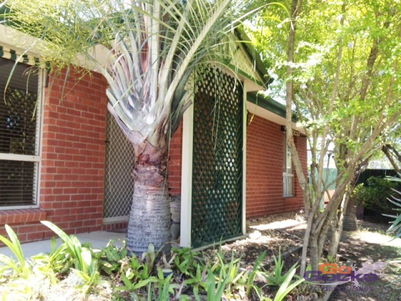 11 Avoca Court, Collingwood Park QLD 4301