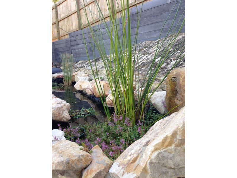 1 Lee Court, Camira QLD 4300