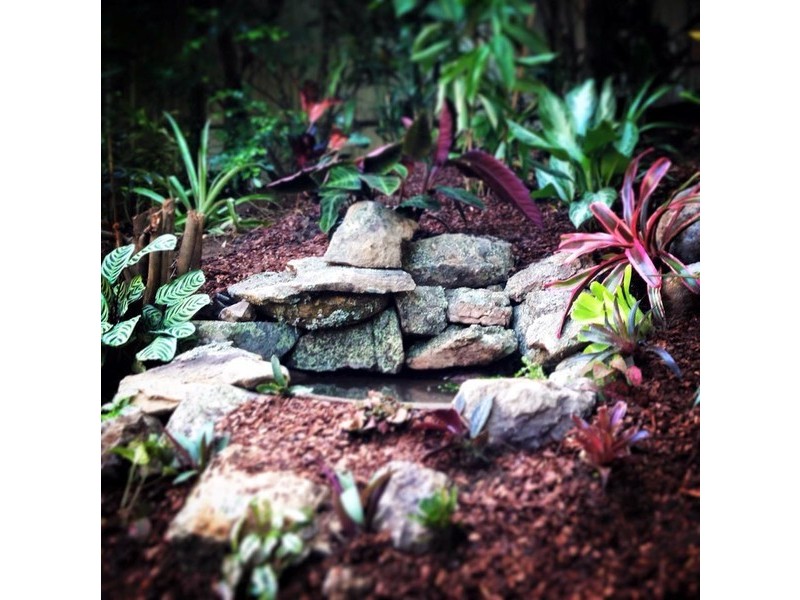 1 Lee Court, Camira QLD 4300